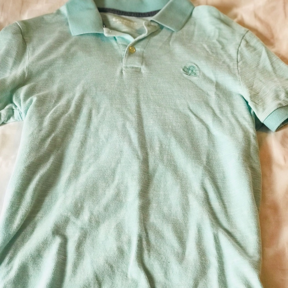 Designer Polo